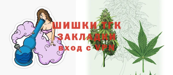 сатива Алзамай