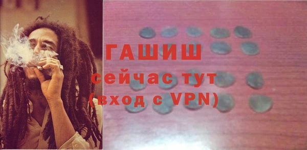 сатива Алзамай