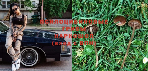 стаф Абаза
