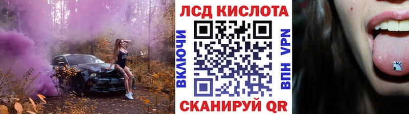 гидра Богданович Наркотические марки 1,8мг