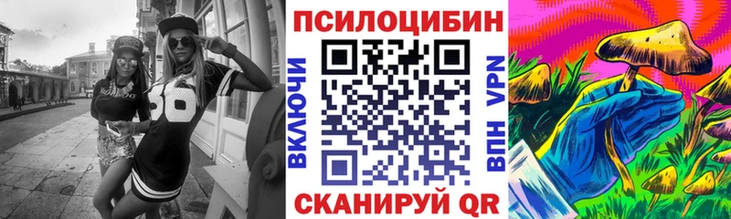 ссылка на мегу   Богданович  Галлюциногенные грибы Magic Shrooms  дарнет шоп 