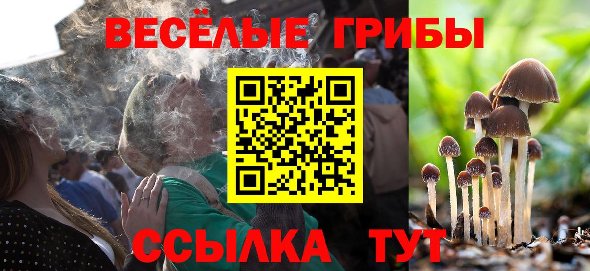 Галлюциногенные грибы GOLDEN TEACHER Богданович